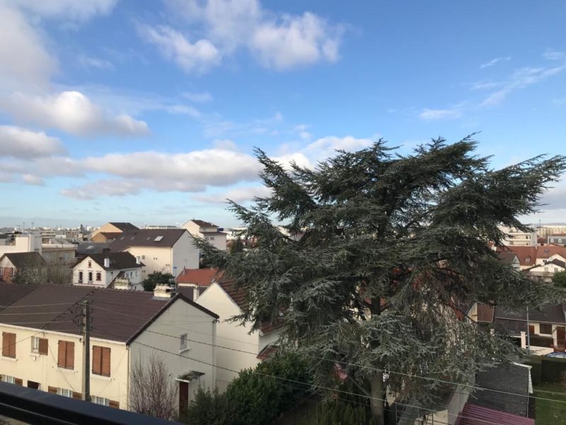 1 CHAMBRE A LOUER AU SEIN D'UNE COLOCATION DE 3 PERSONNES