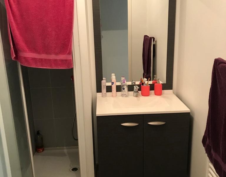 1 CHAMBRE A LOUER AU SEIN D'UNE COLOCATION DE 3 PERSONNES