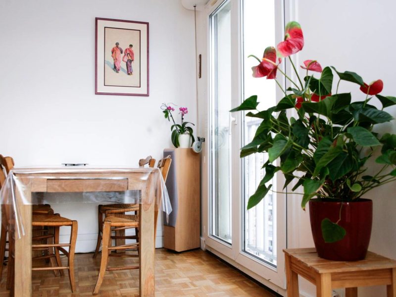 Chbre dans grand appart T3 de +70 m2 avec terrasse, Paris 20