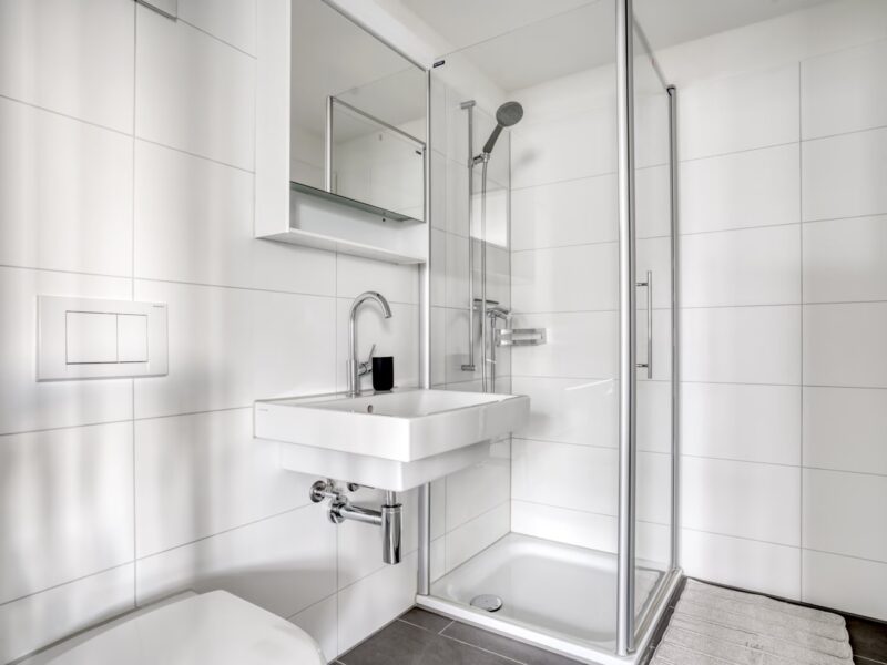 Coloc’ chill cherche nouveaux compagnons de vie ! 🏡✨