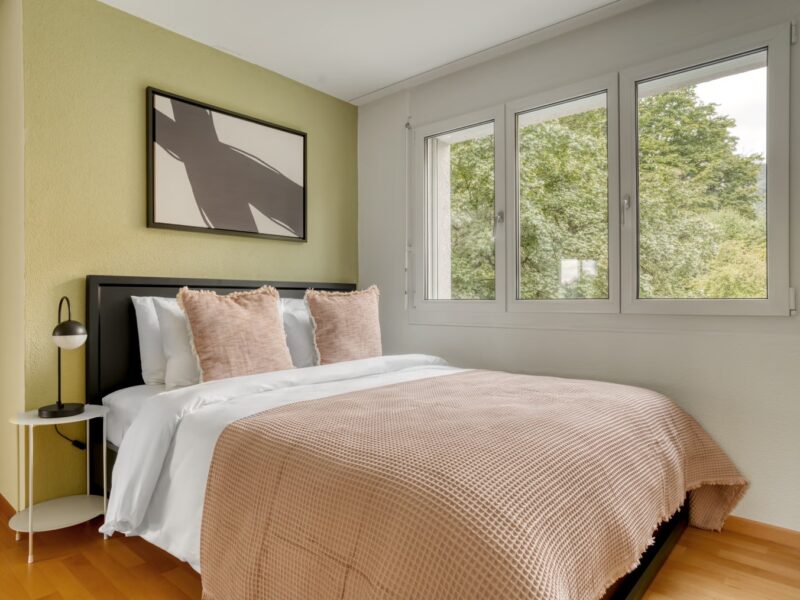 Coloc’ chill cherche nouveaux compagnons de vie ! 🏡✨