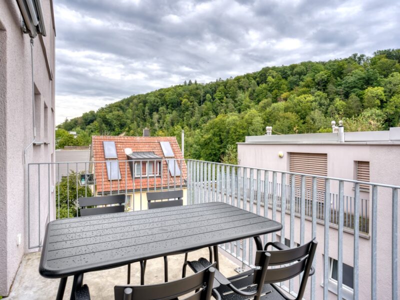 Coloc’ chill cherche nouveaux compagnons de vie ! 🏡✨