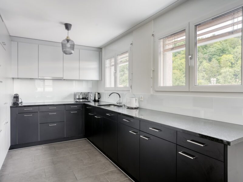 Coloc’ chill cherche nouveaux compagnons de vie ! 🏡✨