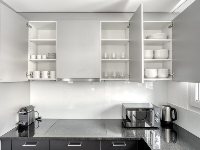 Coloc’ chill cherche nouveaux compagnons de vie ! 🏡✨