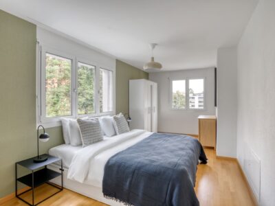 Coloc’ chill cherche nouveaux compagnons de vie ! 🏡✨