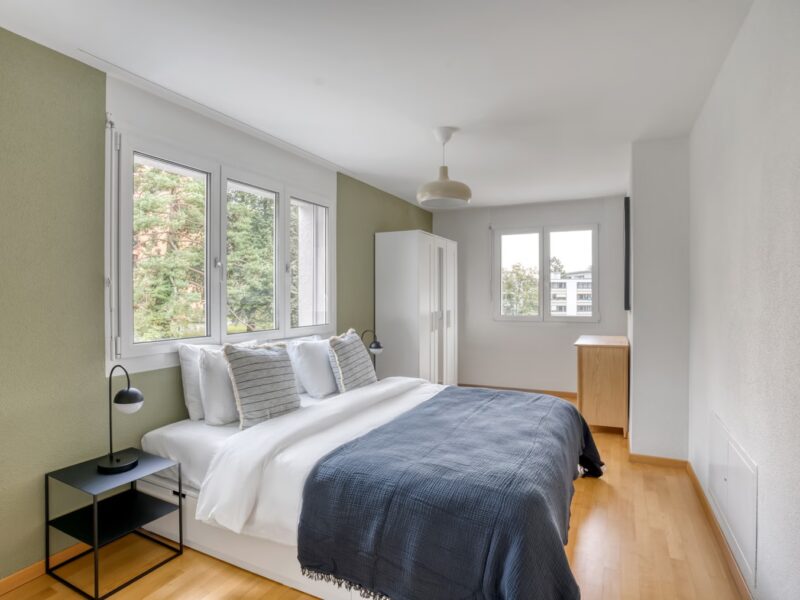 Coloc’ chill cherche nouveaux compagnons de vie ! 🏡✨