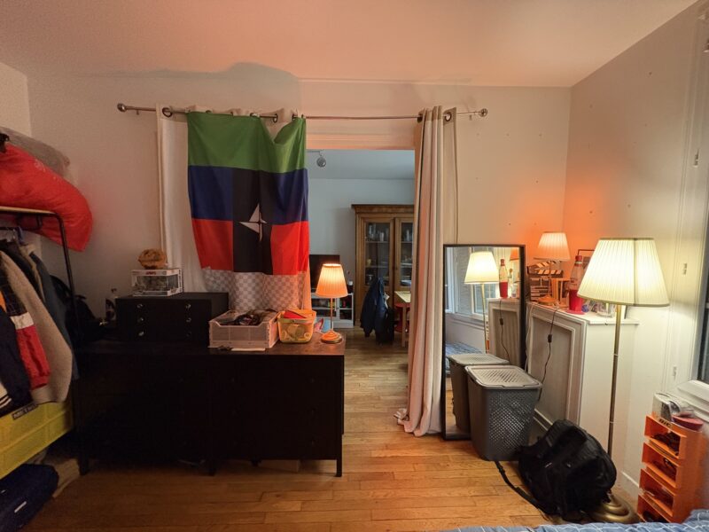 CHAMBRE DANS UNE BELLE COLLOCATION PARISIENNE