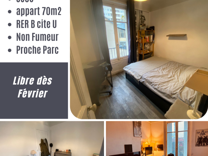 Chambre meublée dans collocation