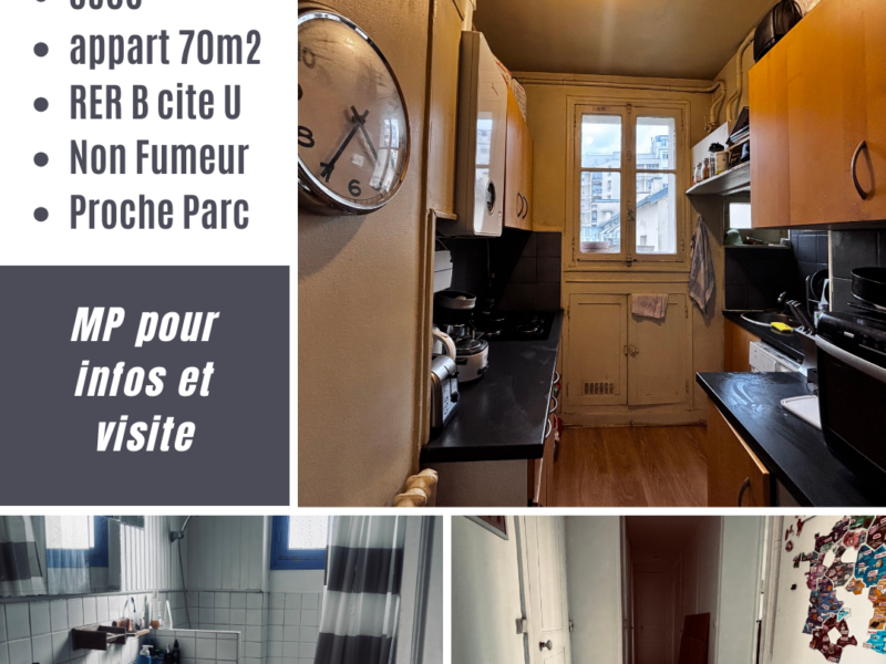Chambre meublée dans collocation