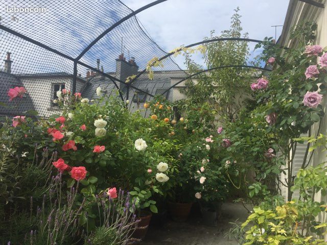 Colocation dans luxueux appartement de standing haussmannien - Rue La Fayette, Paris 10e