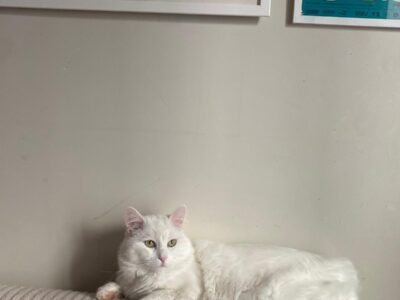 Colocation Montreuil