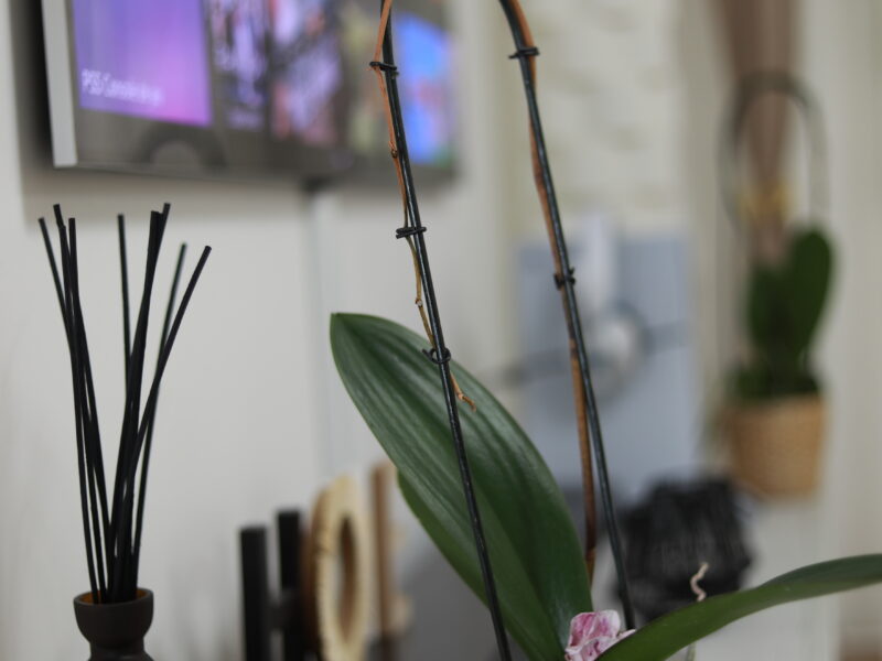 Chambre meublée dans une résidence neuve avec térasse - colocation avec propriétaire (profil salarié recherché)