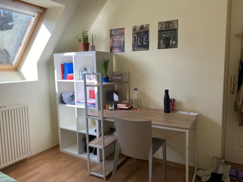 Chambre de 11m2 en colocation dans jolie maison sur Villejuif