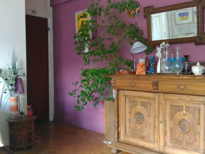 Chambre à louer dans un appartement de 3 pèces à partir du 6 juillet