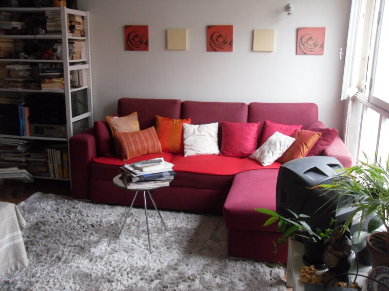 Chambre à louer dans un appartement de 3 pèces à partir du 6 juillet